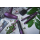 Babyliss AS83PE Velvet Orchid - 1027936 - zdjęcie 5